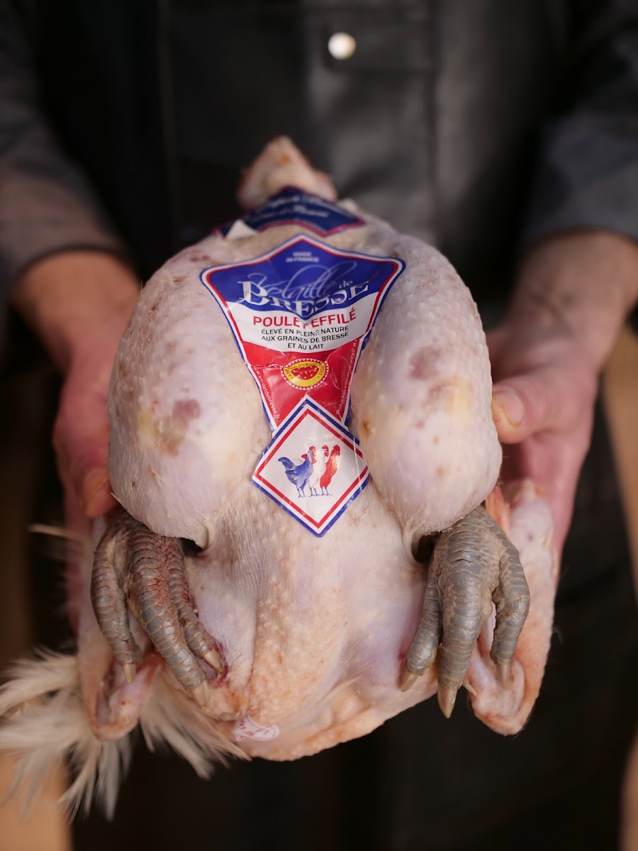 Volaille fermière présentée entre les mains du boucher